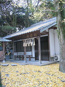 志式神社6 志式神社6