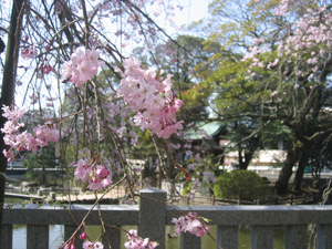 住吉神社３