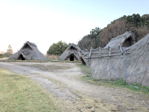 弥生のムラ竪穴式住居