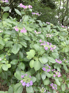 江汐公園3 江汐公園3