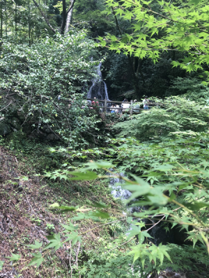 調音の滝5 調音の滝5